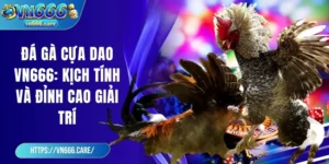 Đá gà cựa dao VN666: Kịch tính và đỉnh cao giải trí
