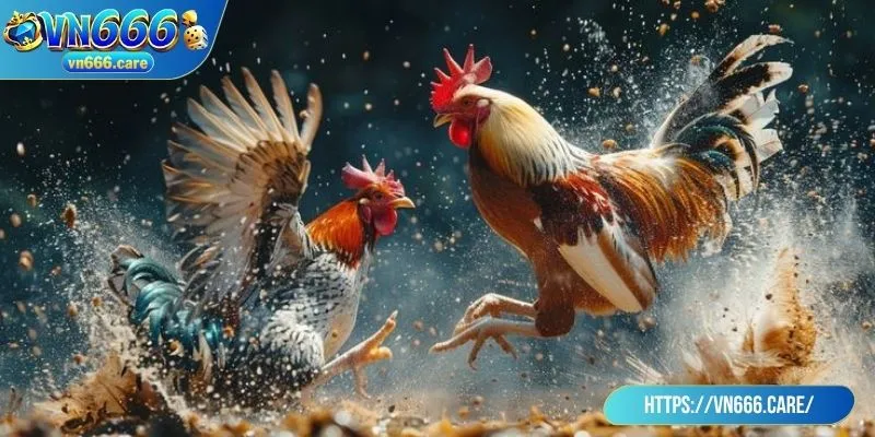 Tổng hợp hệ thống game chất lượng tại sảnh đá gà